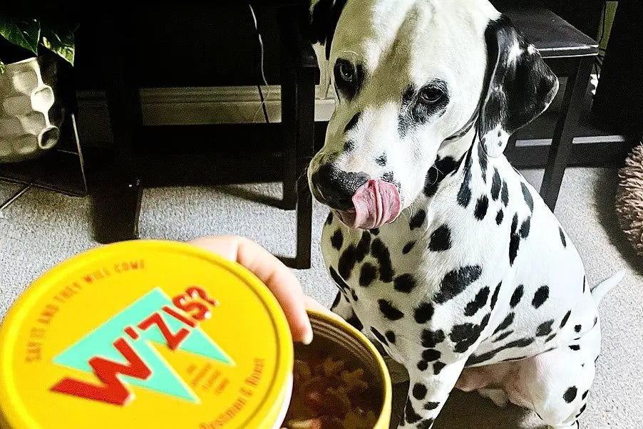 W’ZIS Treats and Dogs with Purine Intolerance (Yes, We’re Talking Dalmatians)