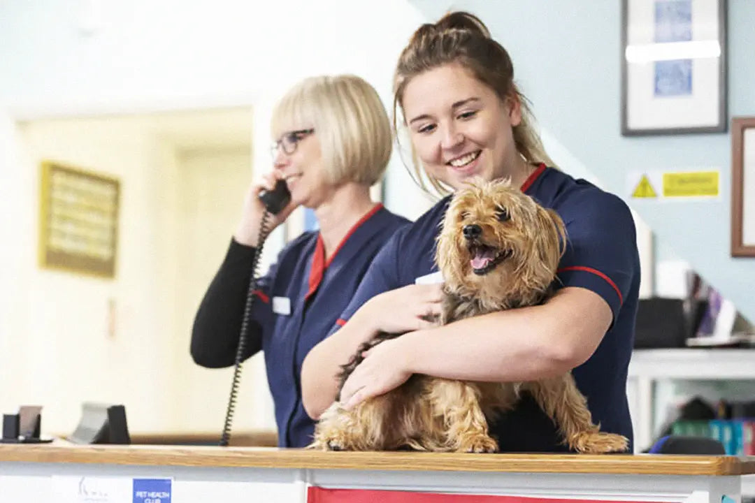 IVC Evidensia Practices