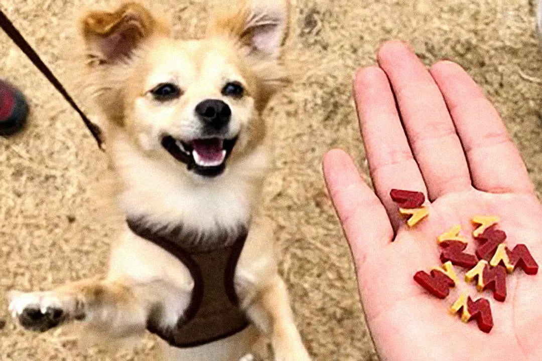 Texture You Can Trust. Taste They’ll Chase.