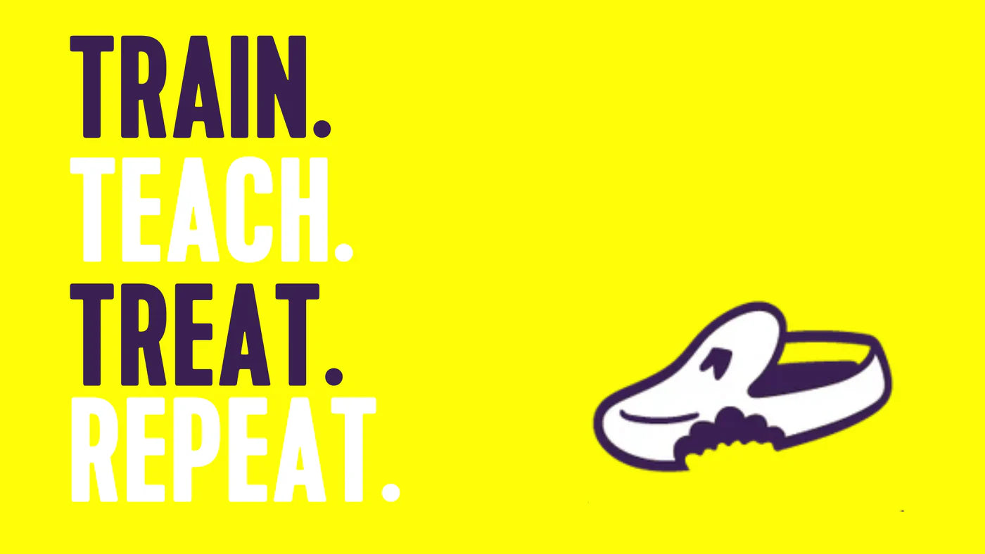 Why our dog treats are loved by trainers