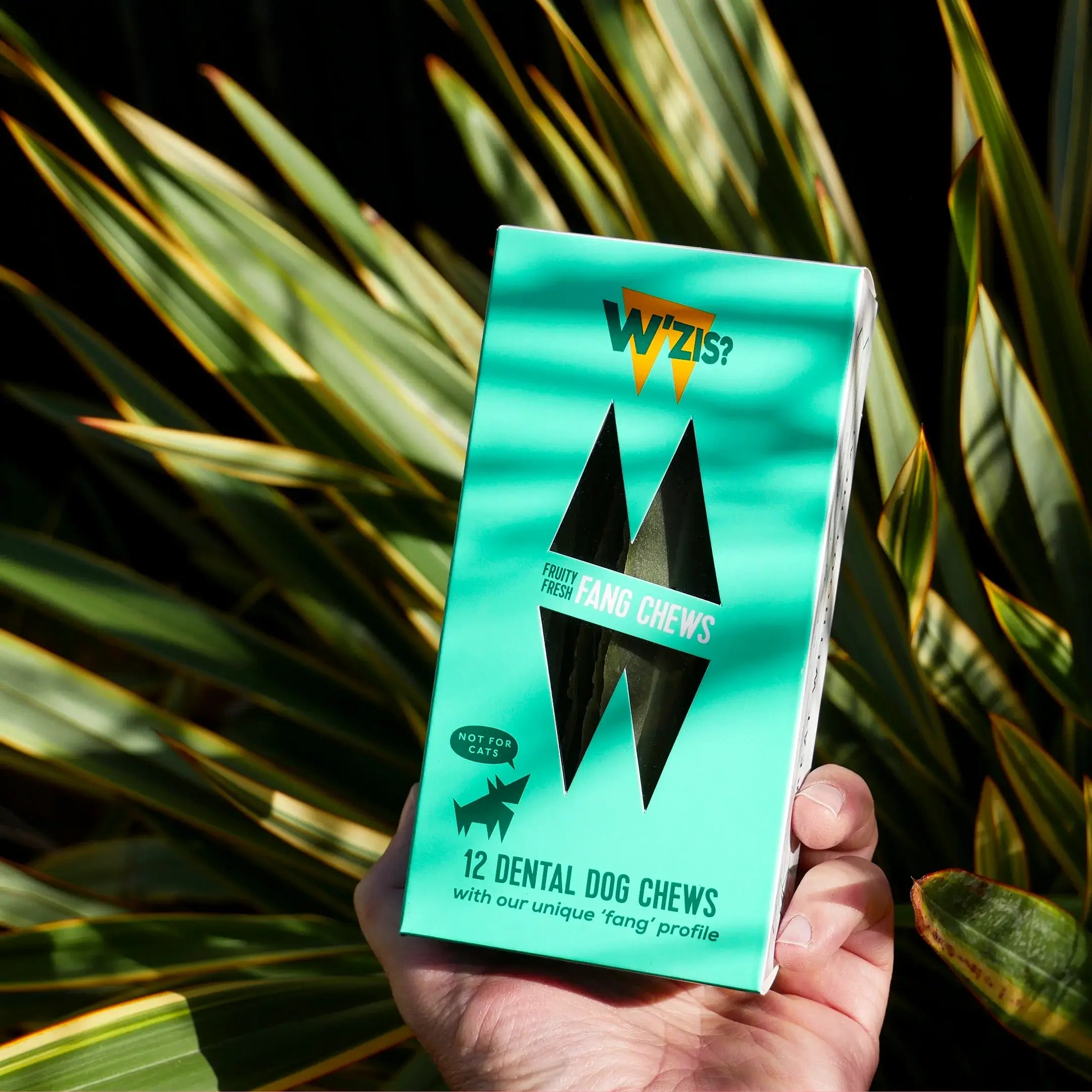 Unique fang-shaped dental chews from W'ZIS for clean teeth