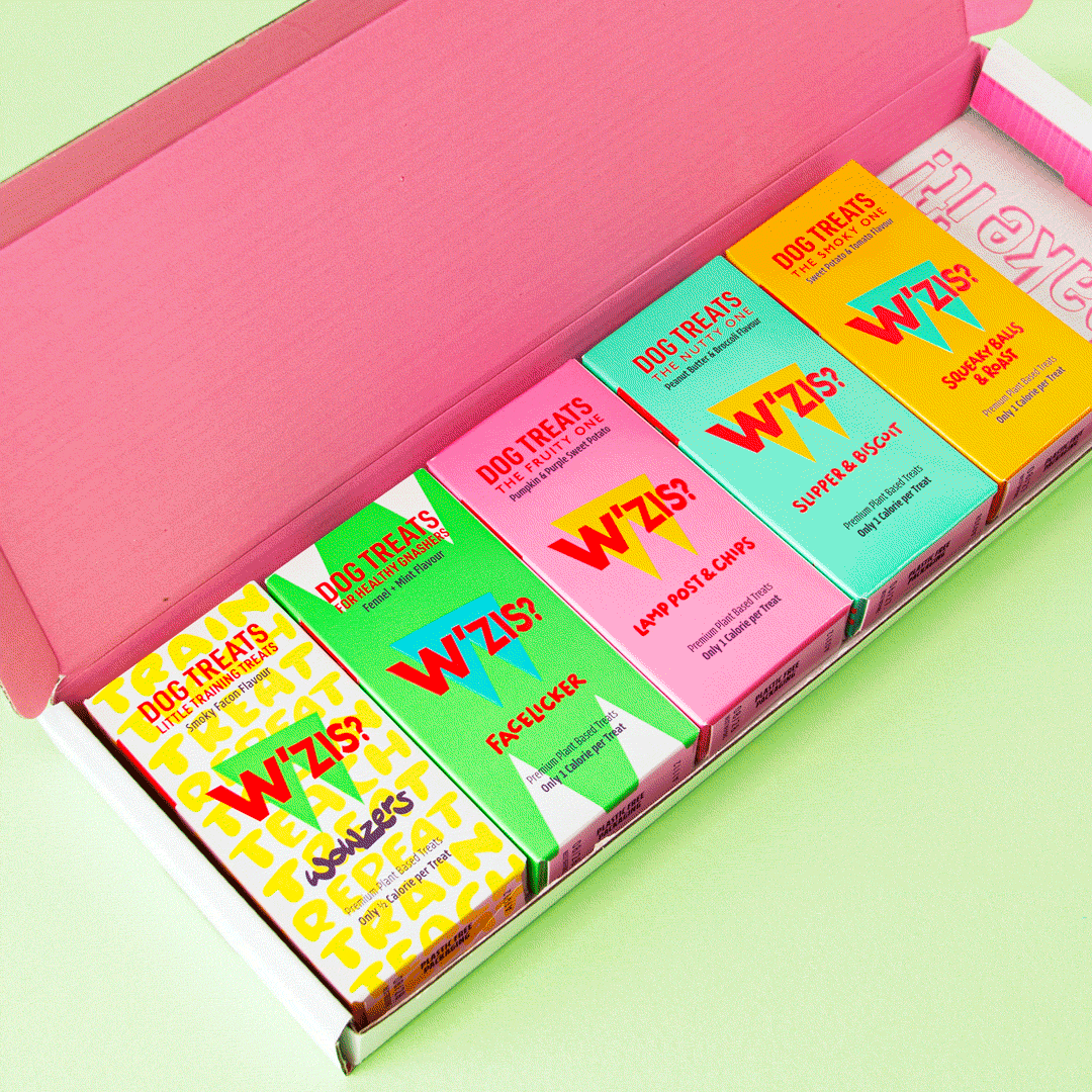 Treat Feast — Dog Grab&Go Treat Selection Box
