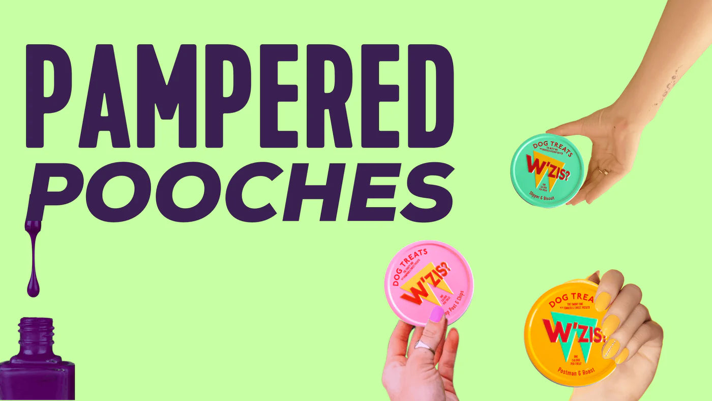 Read about Boots stocking W'ZIS dog treats