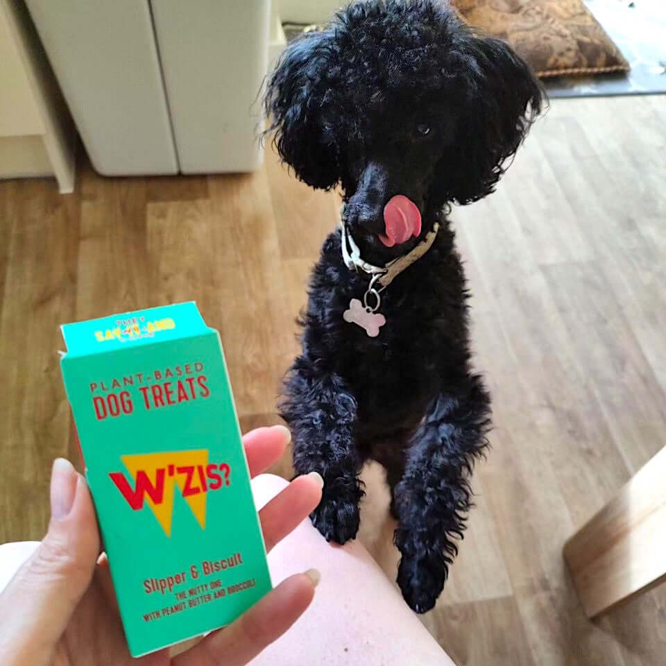 Slipper & Biscuit Grab & Go