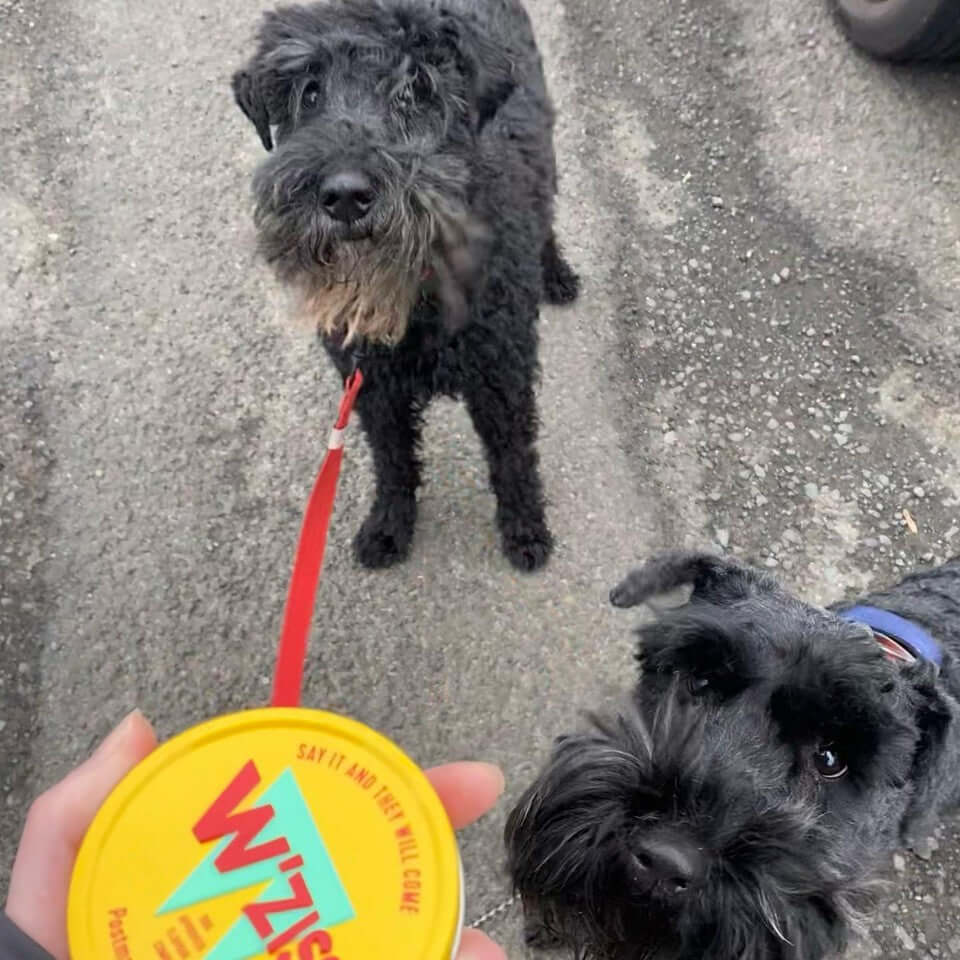 Customer's dog enjoying W'ZIS Postman & Roast refill treats