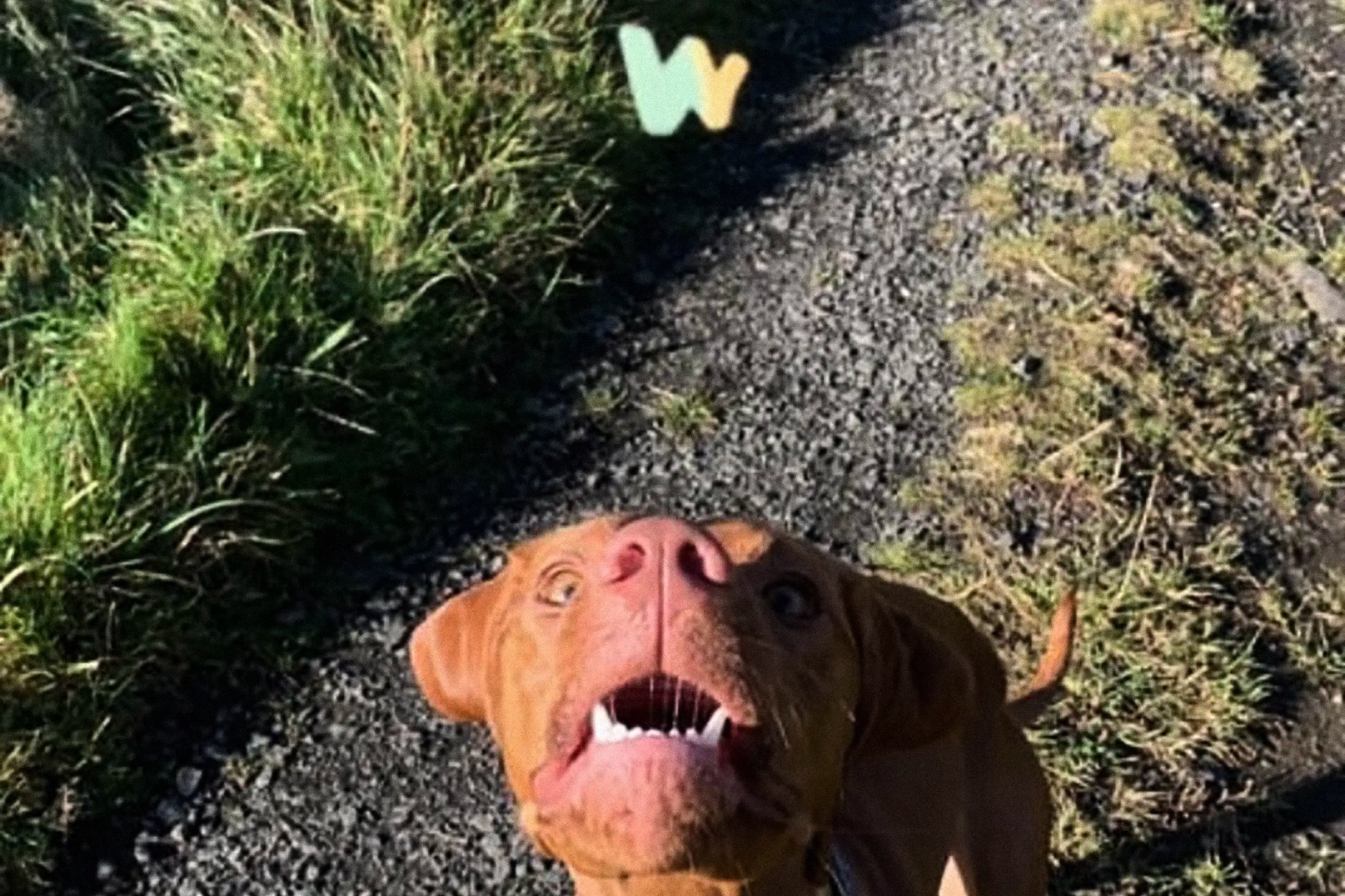 Celebration Rituals: Why Small Wins Matter