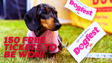 Win tickets to DogFest 2023