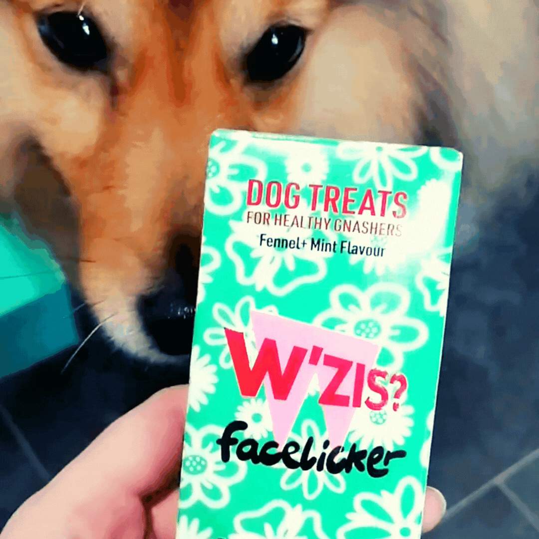 W'ZIS Facelicker treats in action - customer video