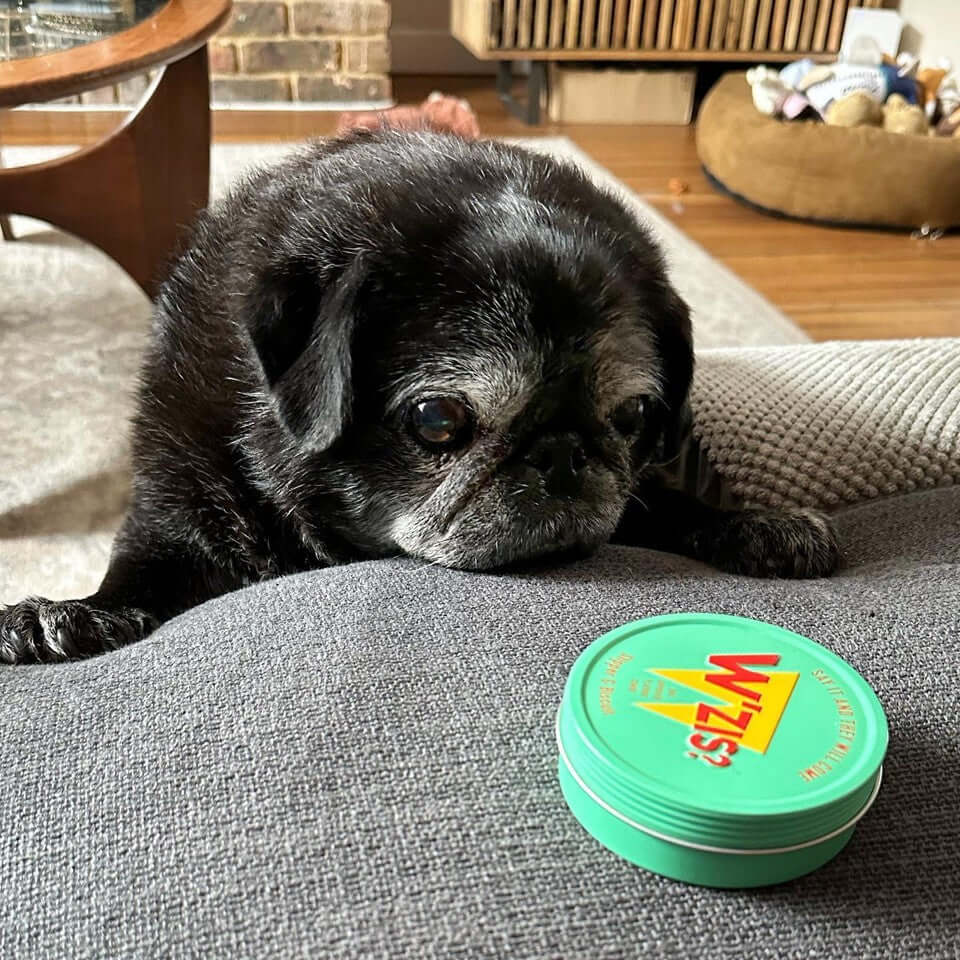 Slipper & Biscuit Tin of Treats