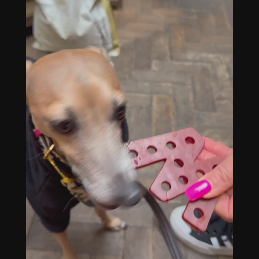 Dog enjoying W'ZIS Dubya in a customer review video