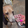 Dog enjoying W'ZIS Dubya in a customer review video