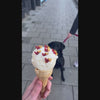 Dog enjoying mixed flavour W'ZIS treats in an ice cream 