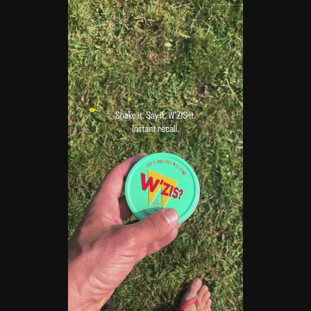 W'ZIS Slipper & Biscuit treats training demo - video review