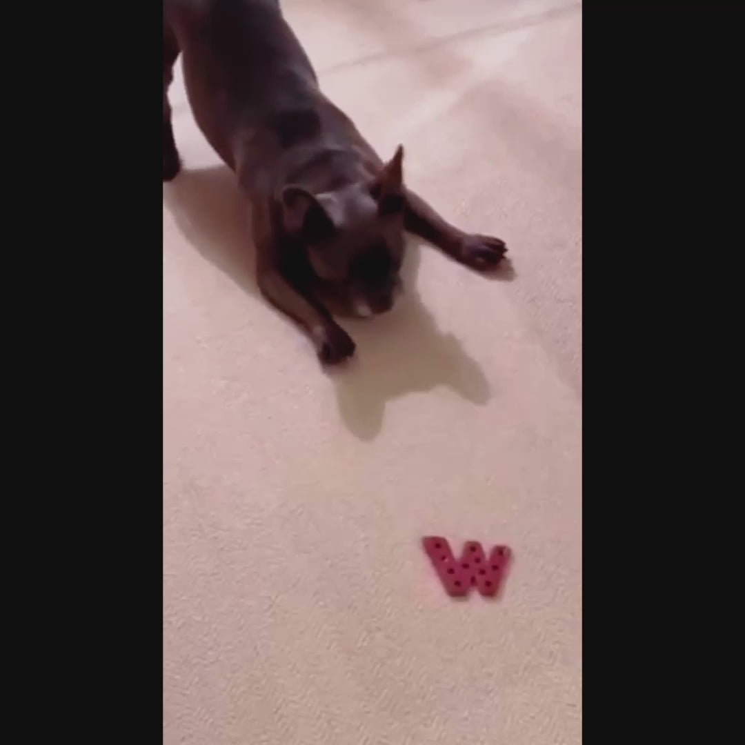 Dog enjoying W'ZIS Dubya dog chew in a customer review video