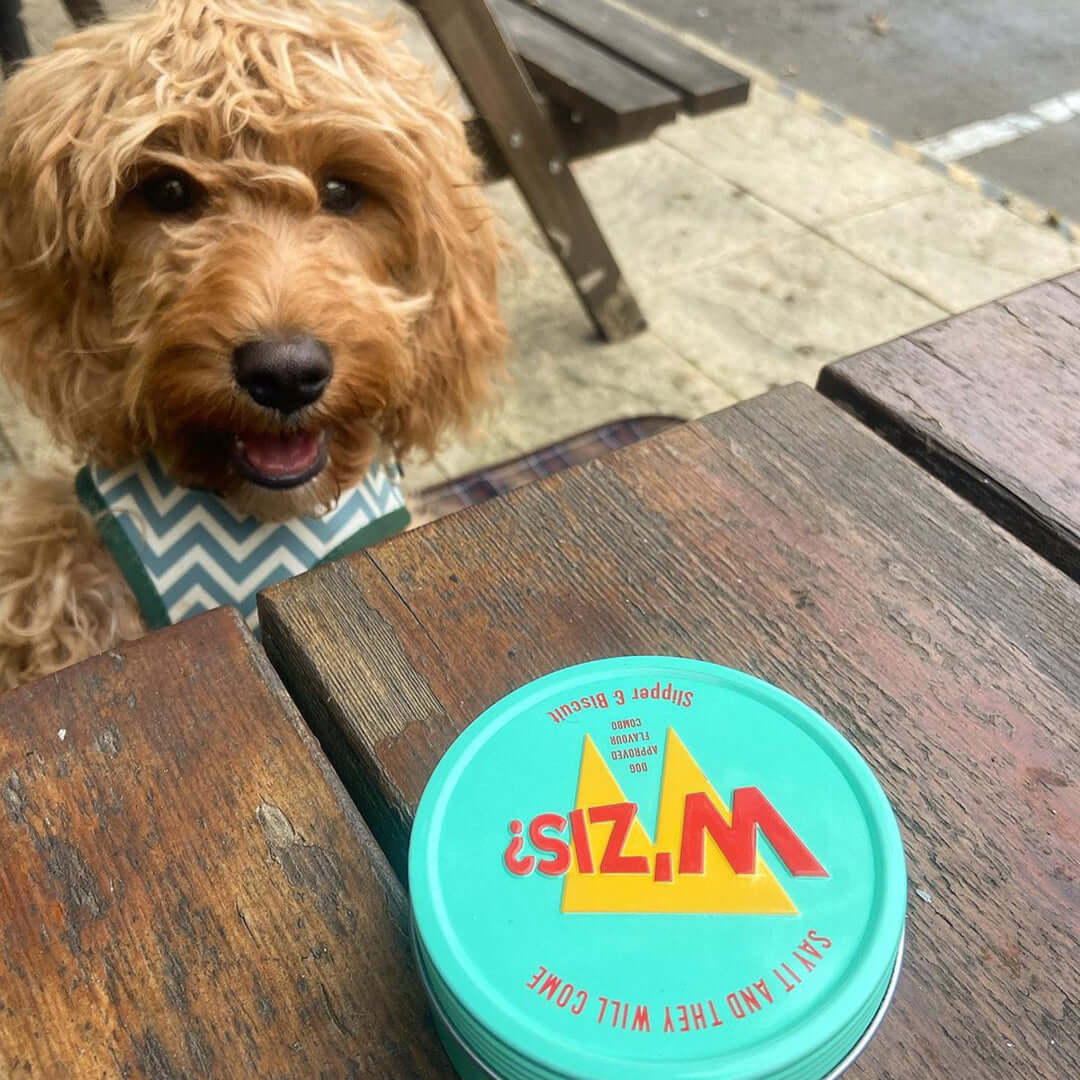 Dog eating W'ZIS Slipper & Biscuit treats - customer review