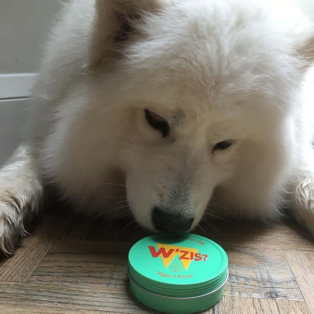 Dog loving W'ZIS Slipper & Biscuit treats - customer review